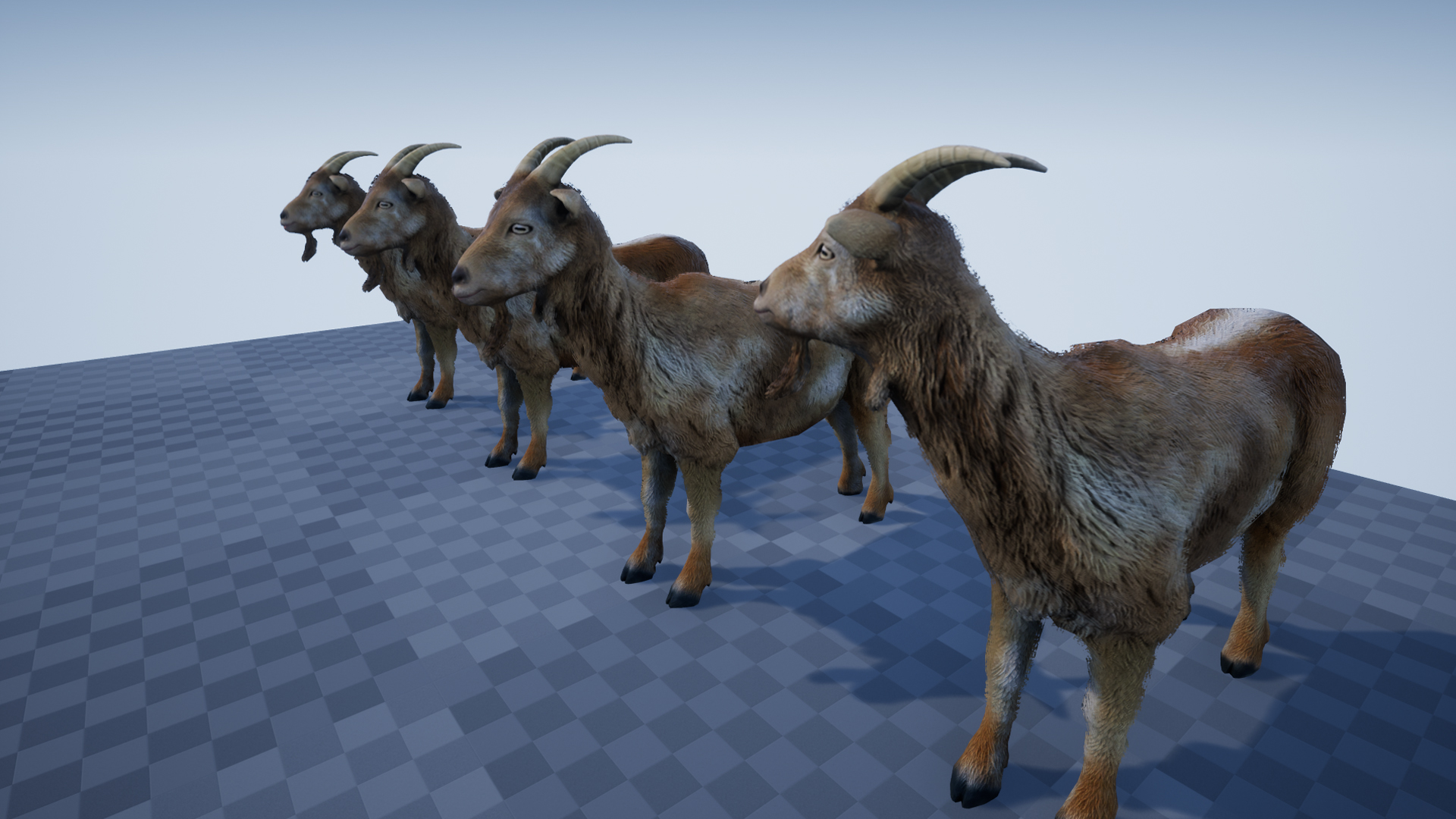 GOAT - Image 5