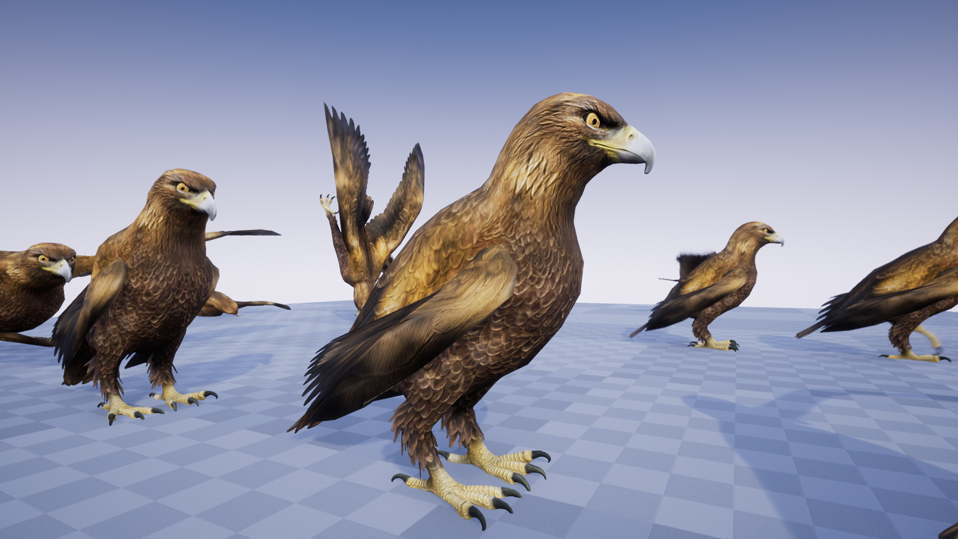 GOLDEN EAGLE - Image 3