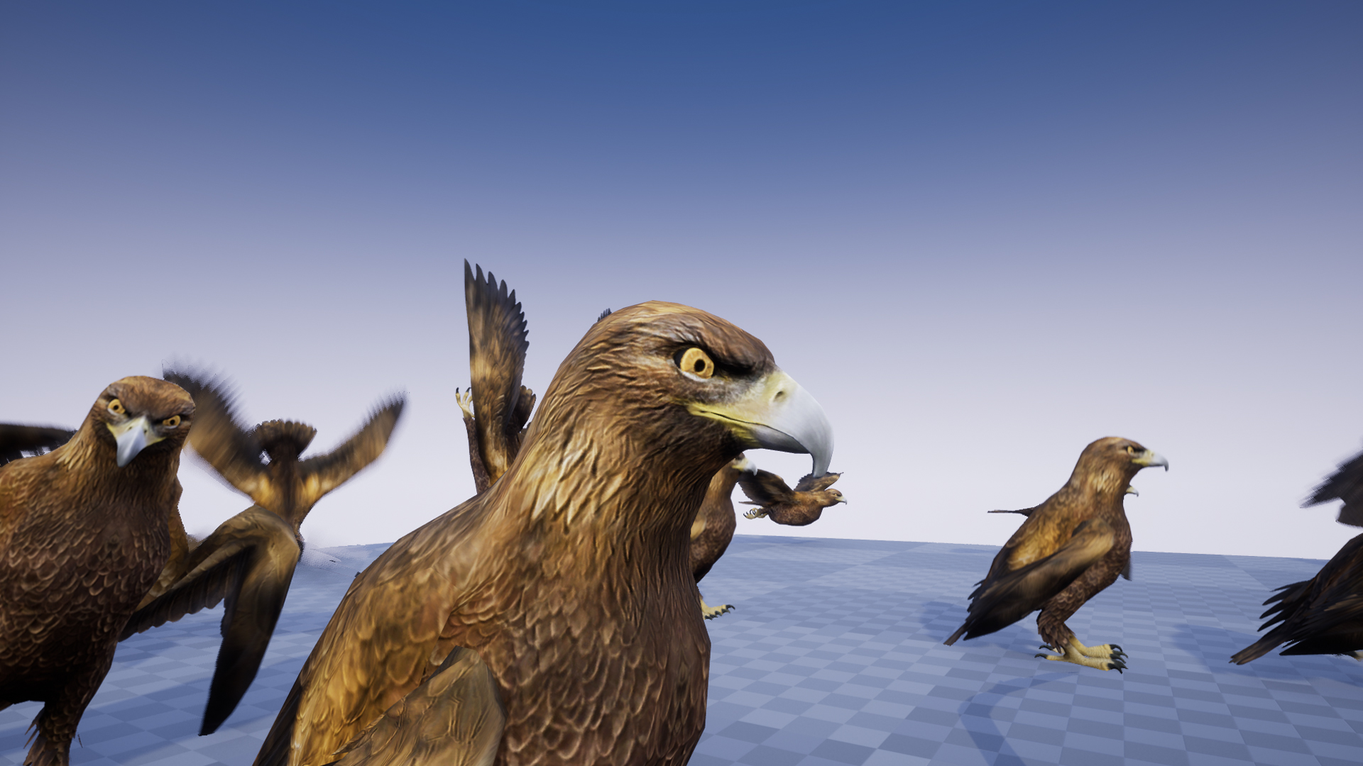 GOLDEN EAGLE - Image 7
