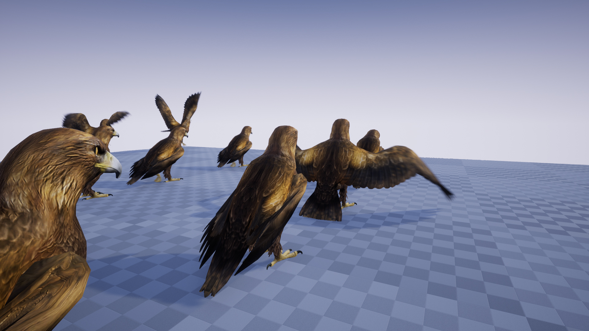 GOLDEN EAGLE - Image 6