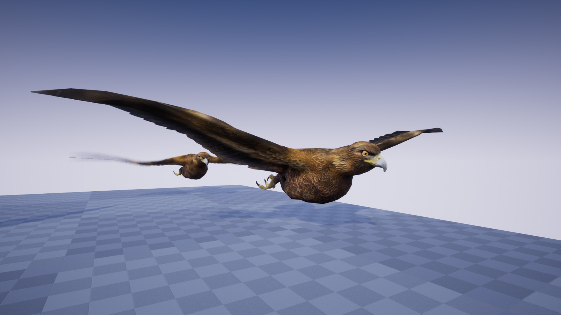 GOLDEN EAGLE - Image 5