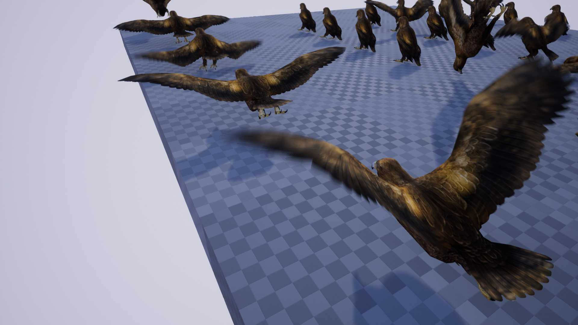 GOLDEN EAGLE - Image 4