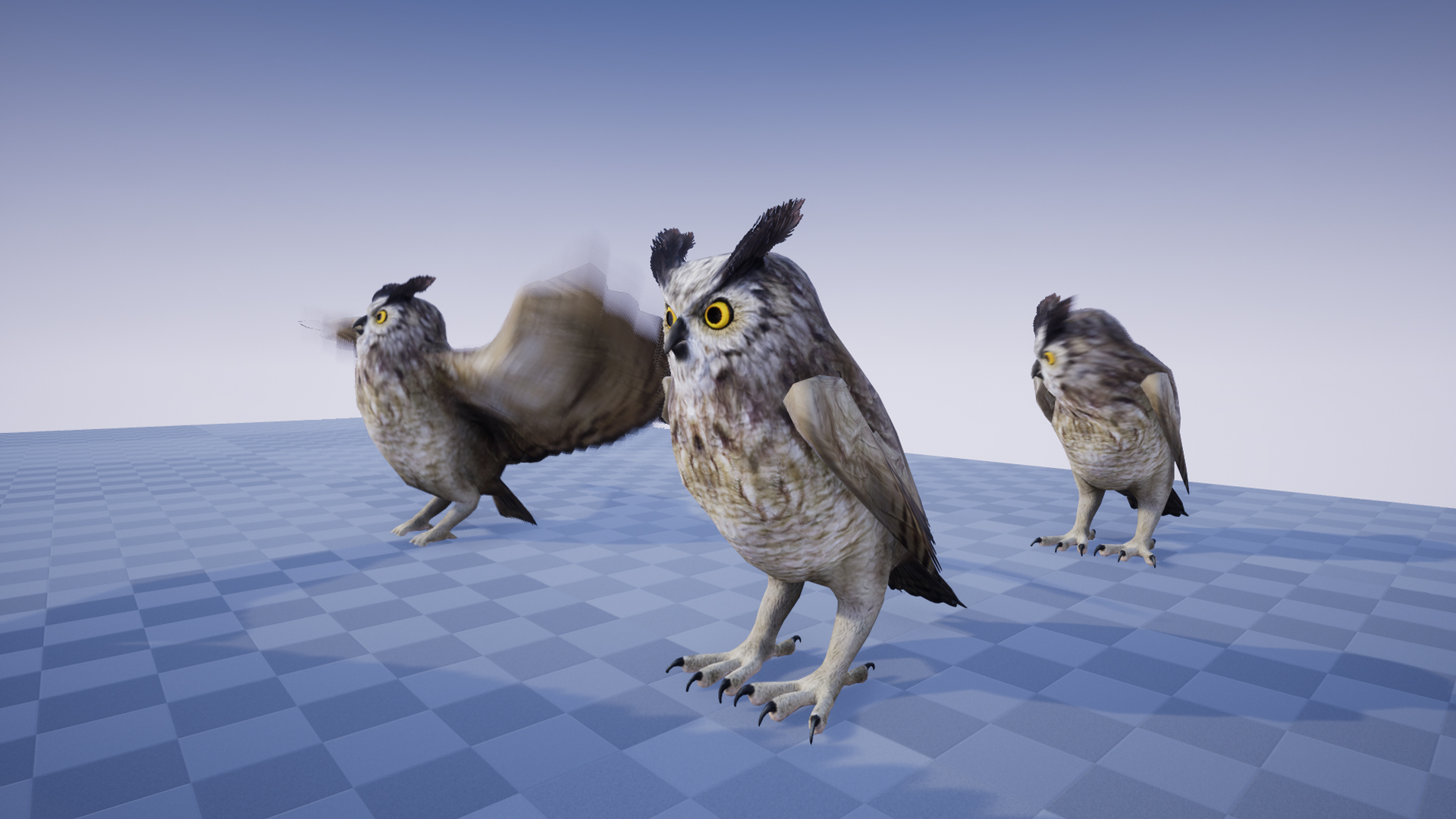 GREAT HORNED OWL - Image 3