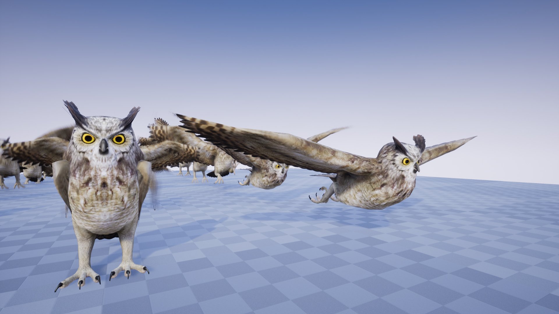 GREAT HORNED OWL - Image 4