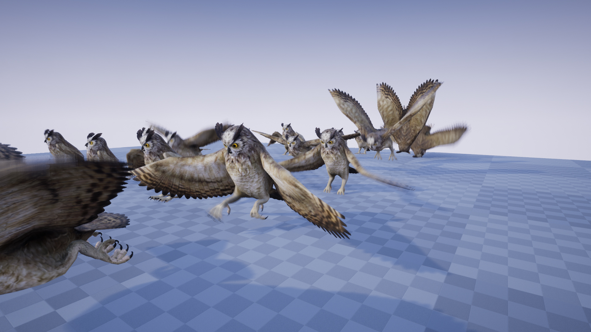 GREAT HORNED OWL - Image 5