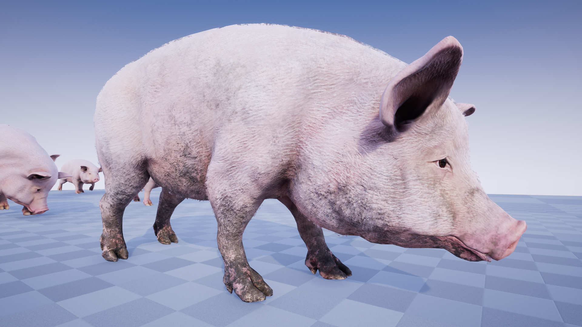 PIG - Image 3