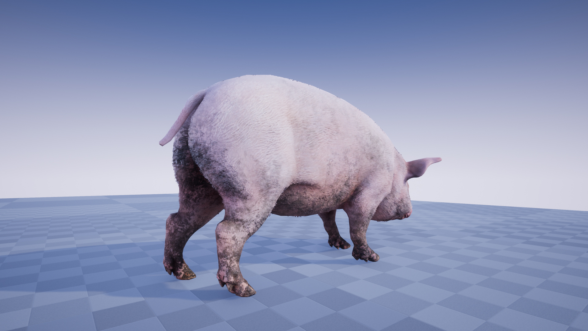 PIG - Image 6
