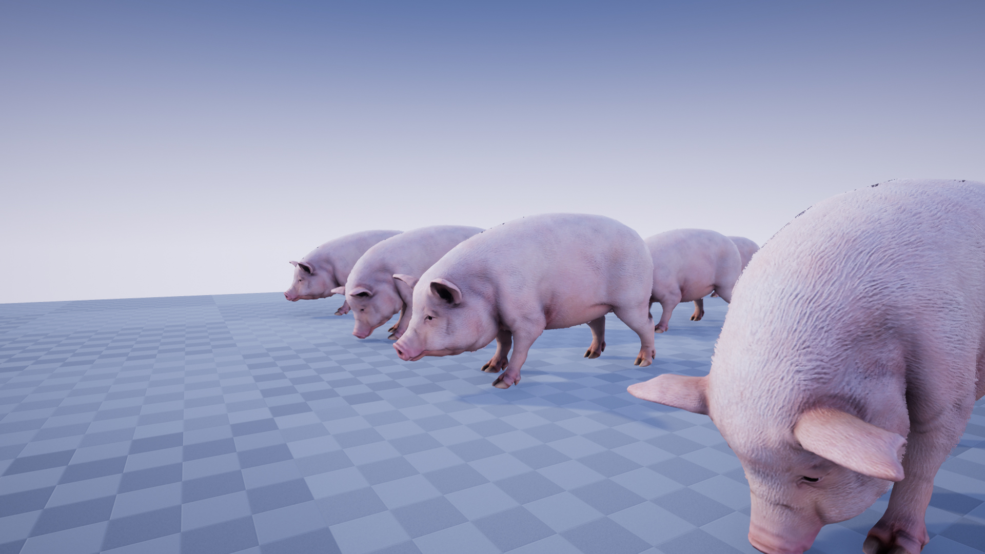 PIG - Image 7