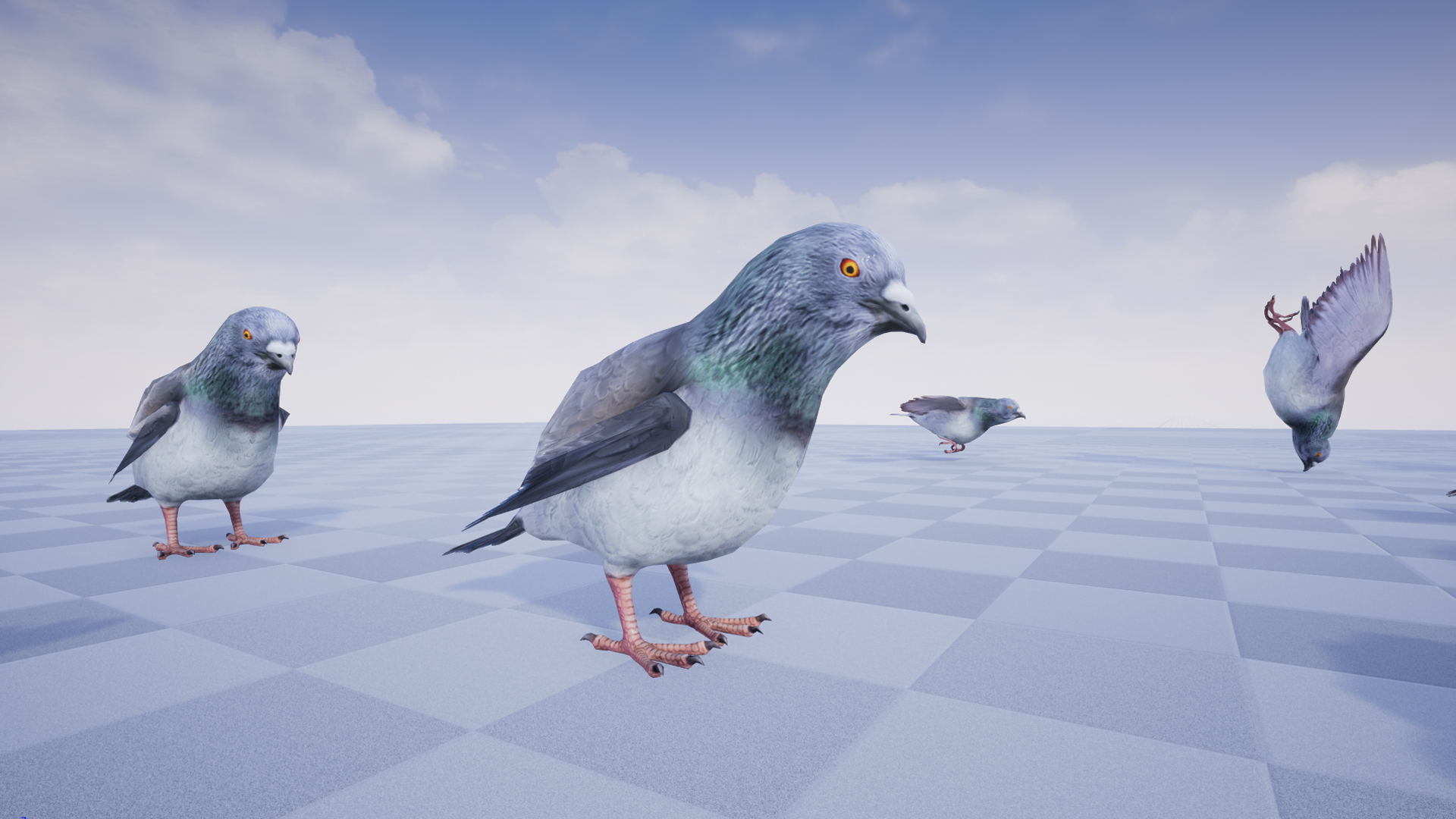 PIGEON - Image 3