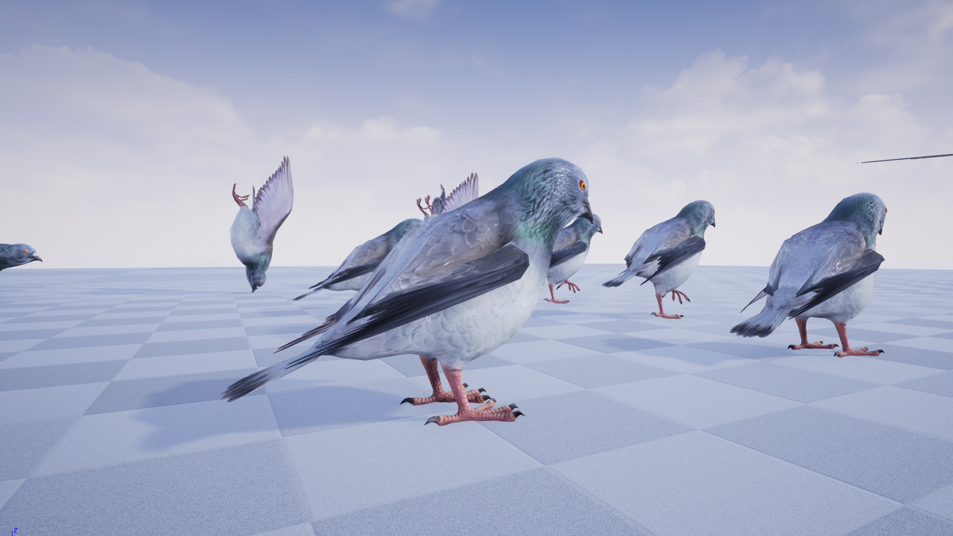 PIGEON - Image 7