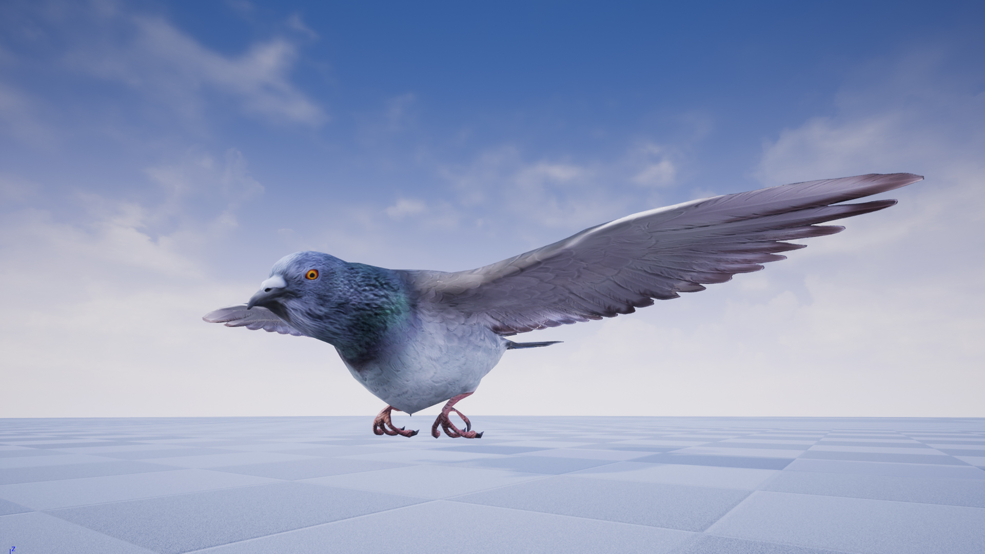 PIGEON - Image 6