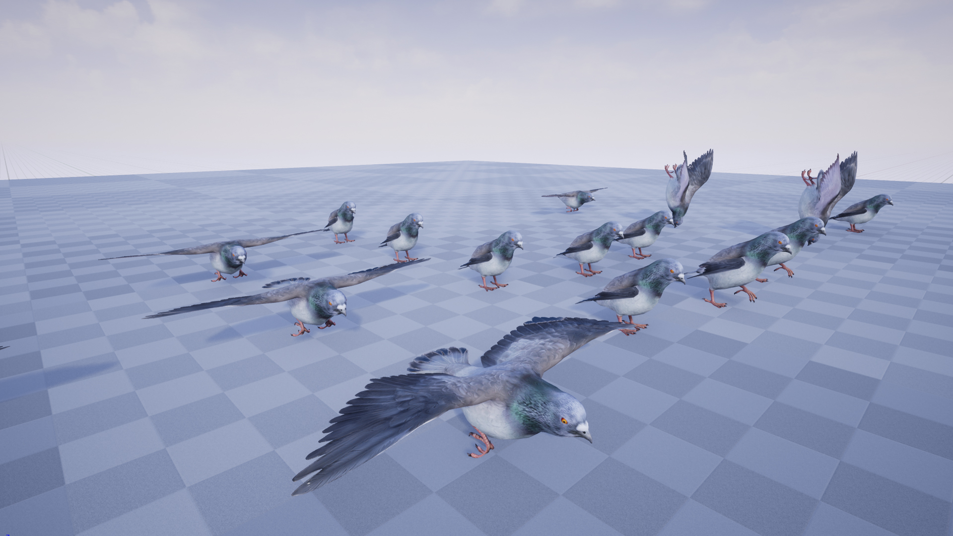PIGEON - Image 5