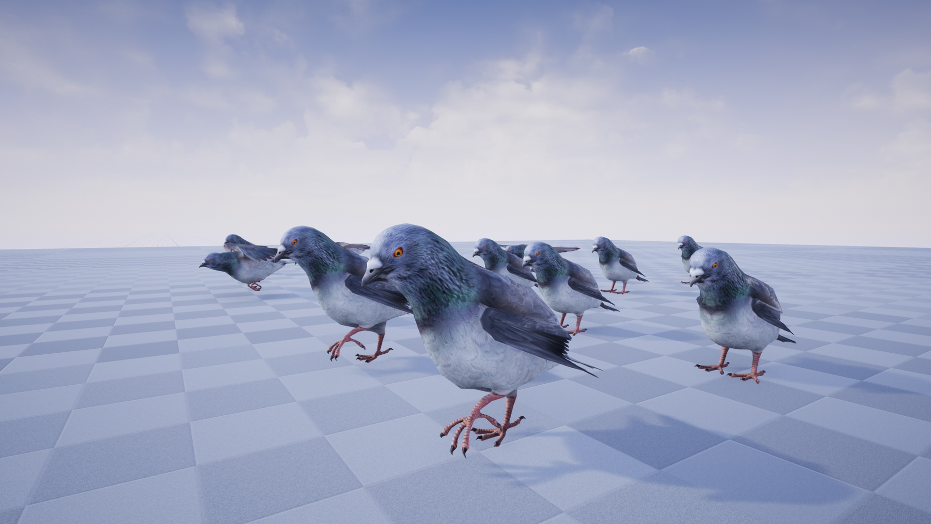 PIGEON - Image 4