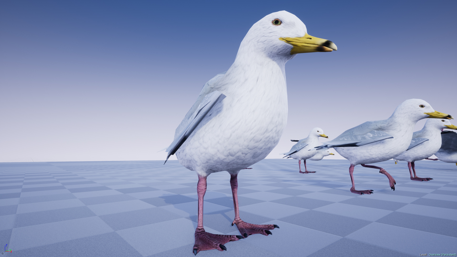 SEAGULL - Image 3