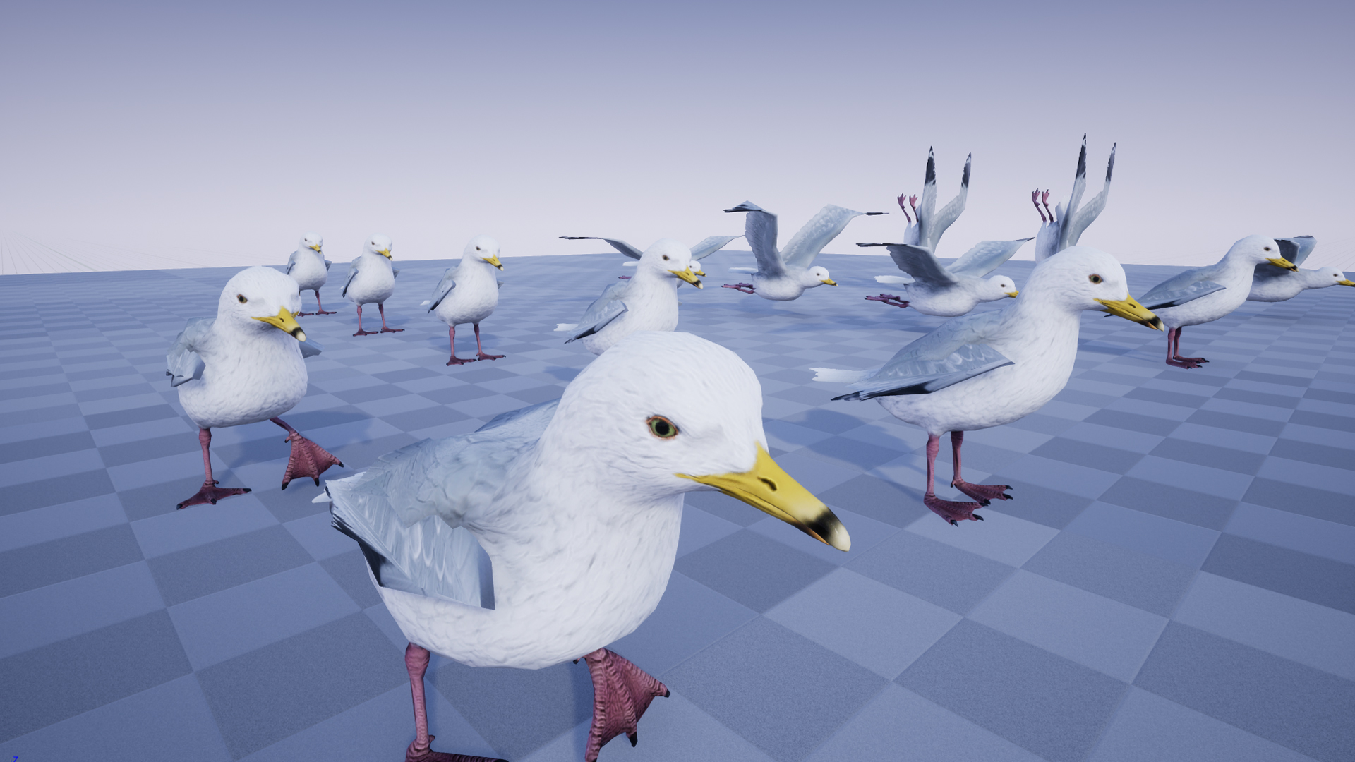 SEAGULL - Image 4