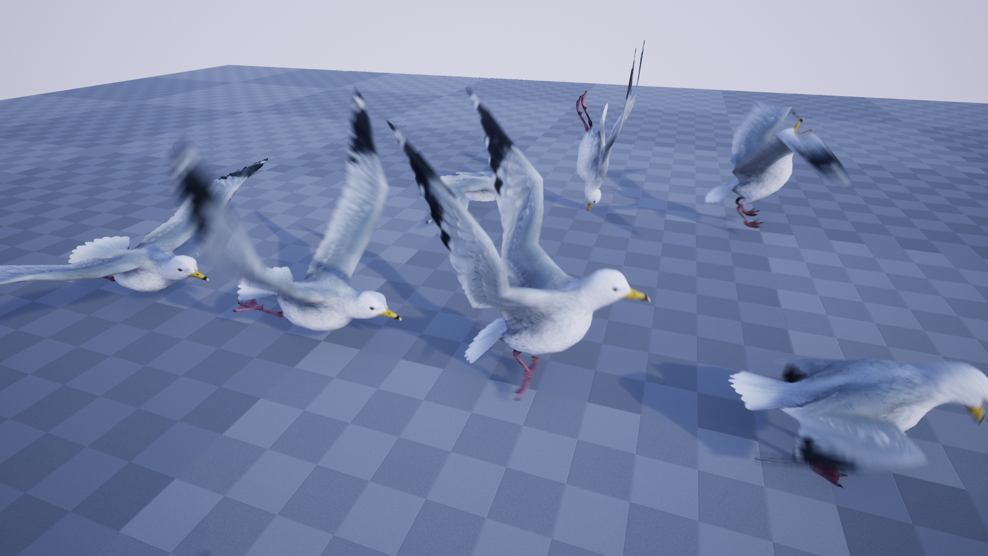 SEAGULL - Image 5