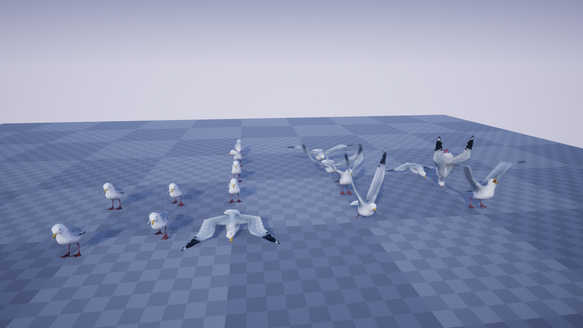 SEAGULL - Image 7