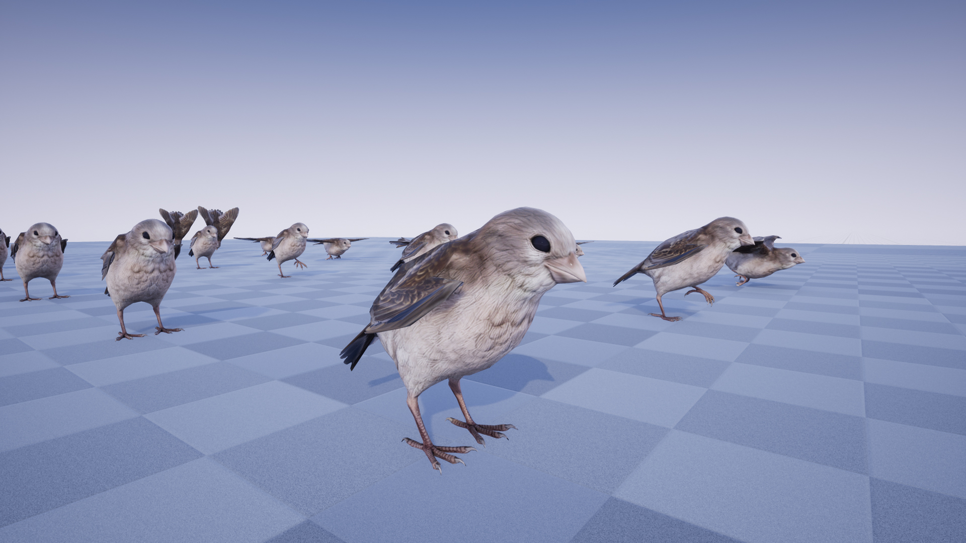SPARROW - Image 7