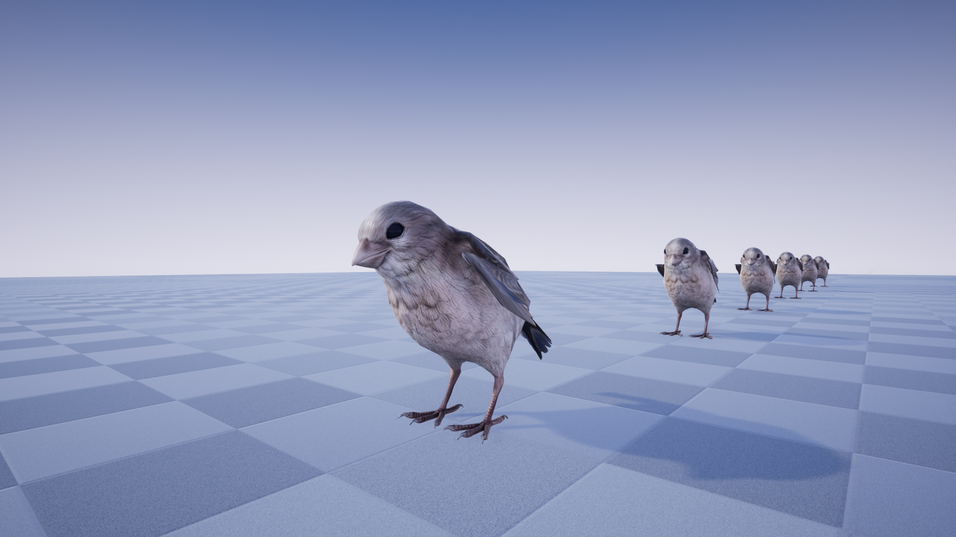 SPARROW - Image 6