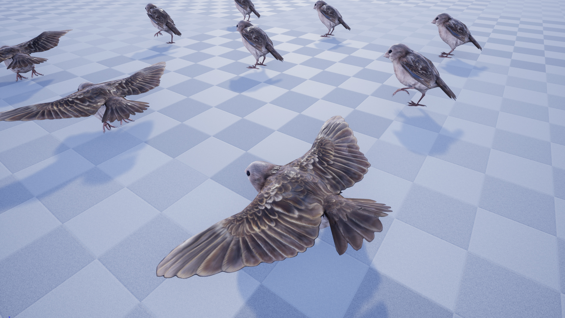 SPARROW - Image 4