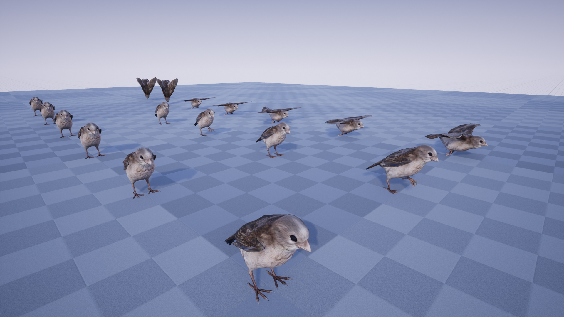 SPARROW - Image 3