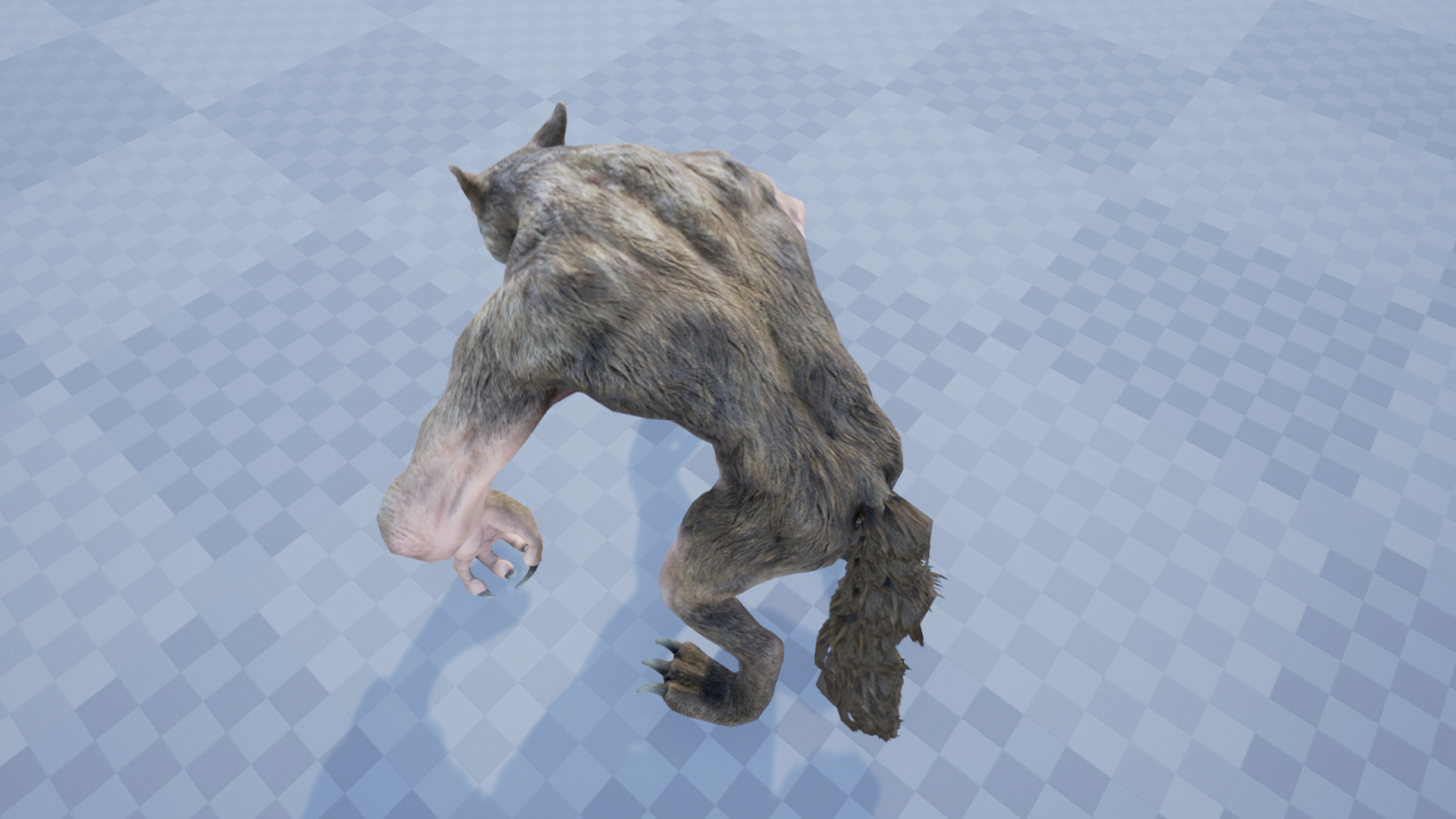 WEREWOLF - Image 6