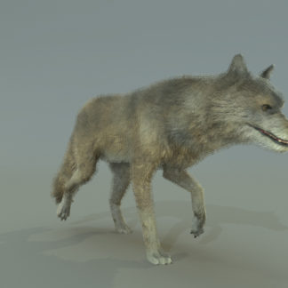 WOLF