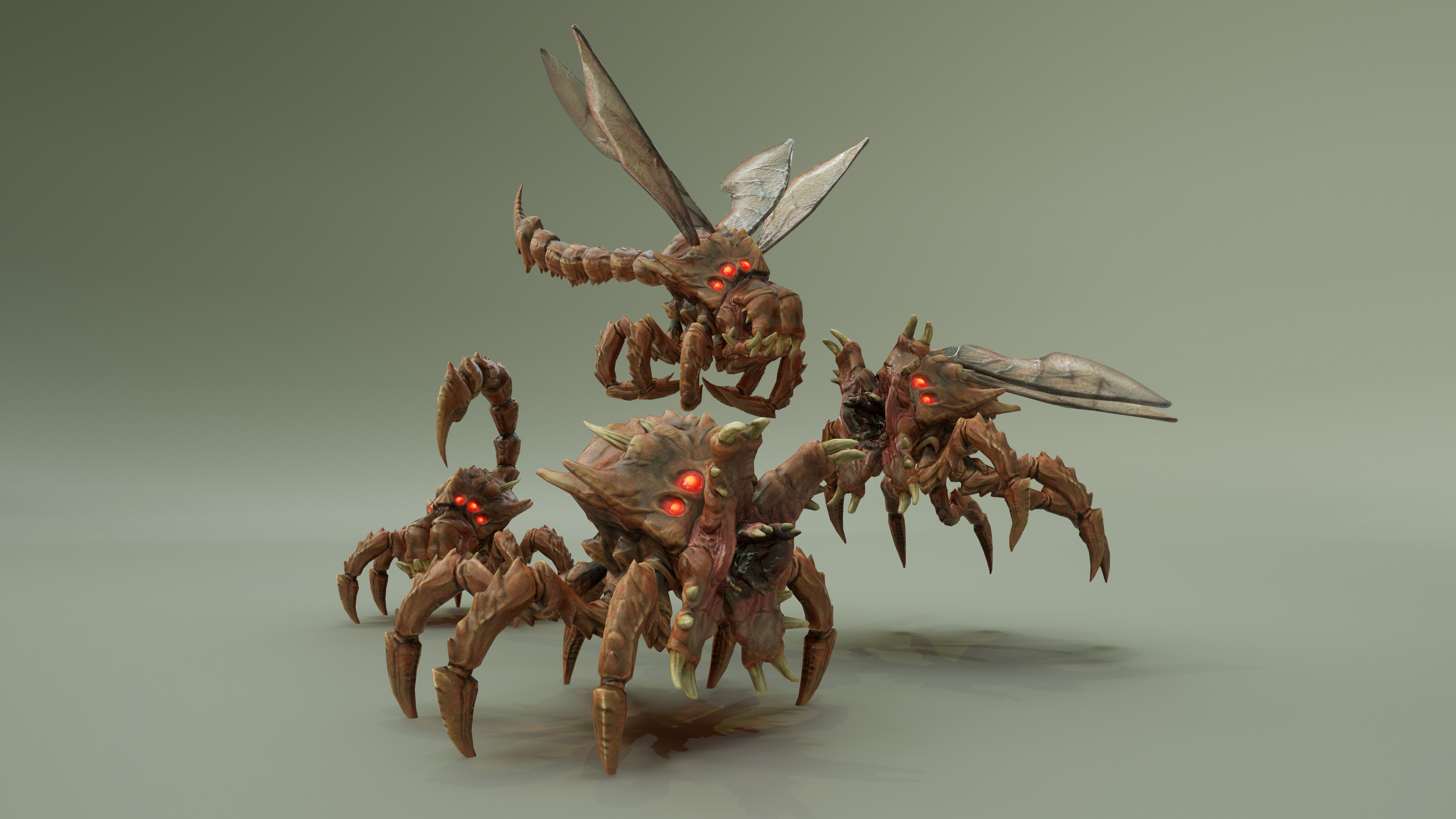 MUSCOMORPH