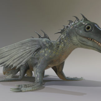OCEAN DRAGON