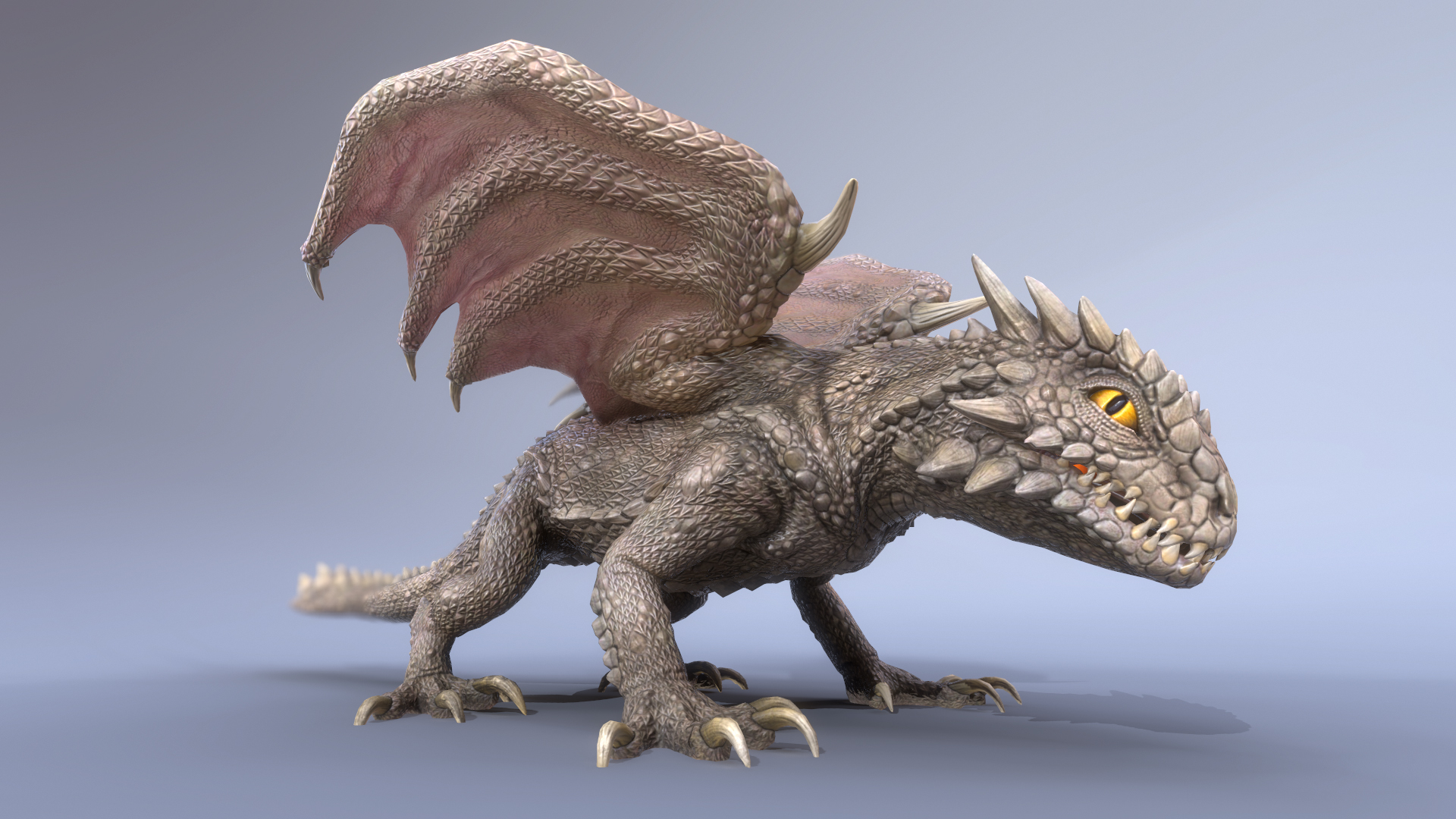 DESERT DRAGON