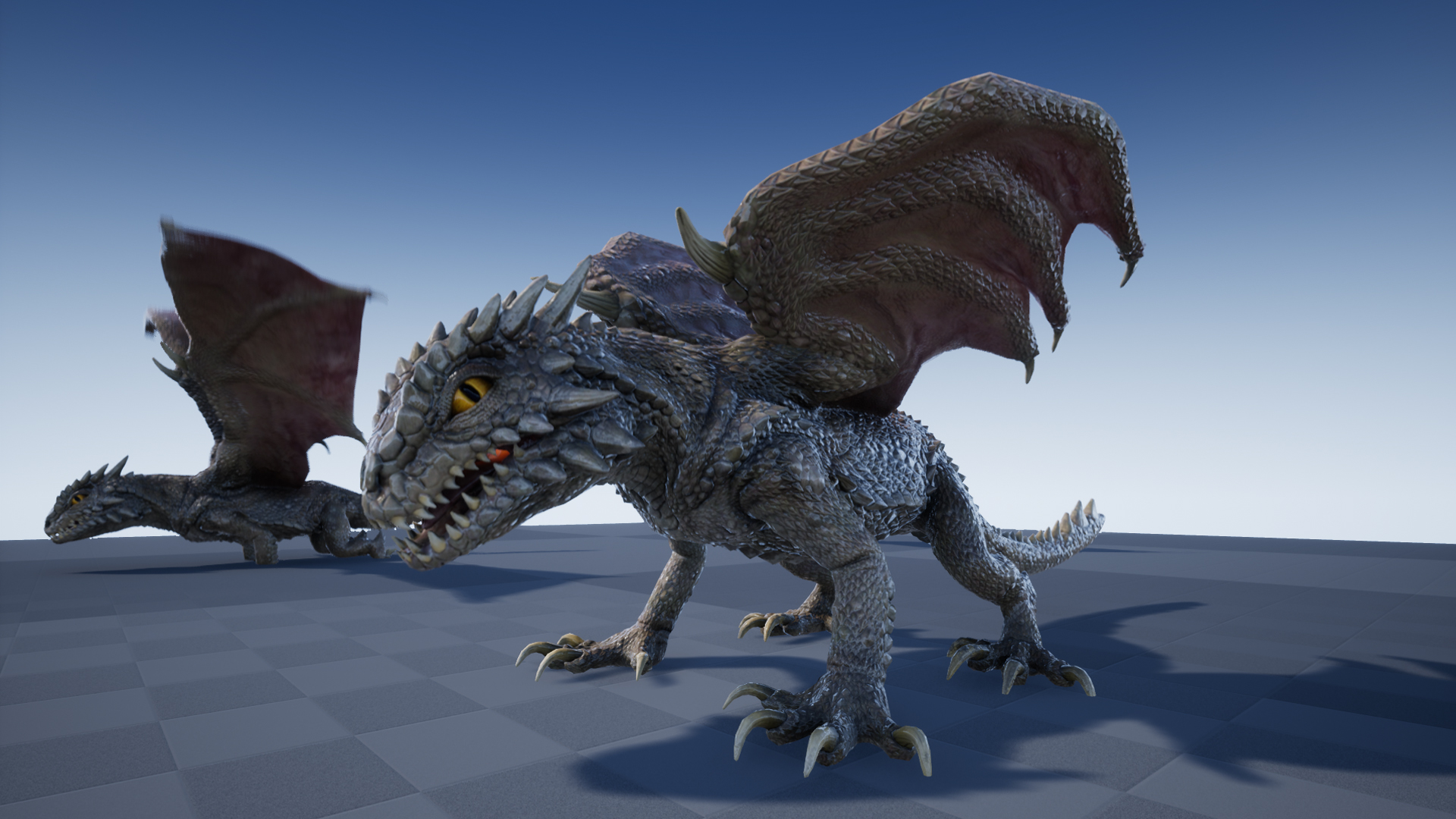 DESERT DRAGON - Image 5