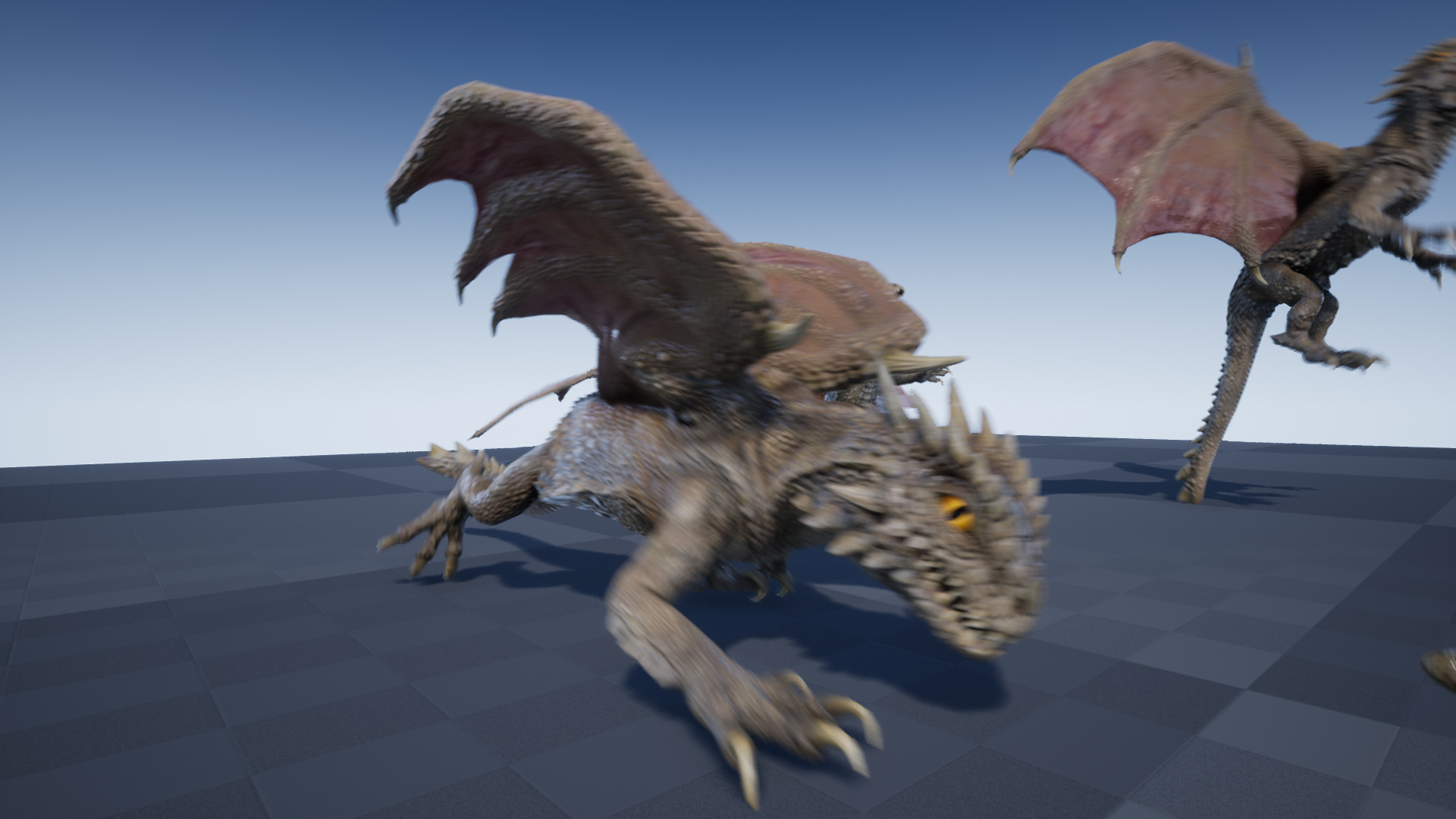 DESERT DRAGON - Image 4