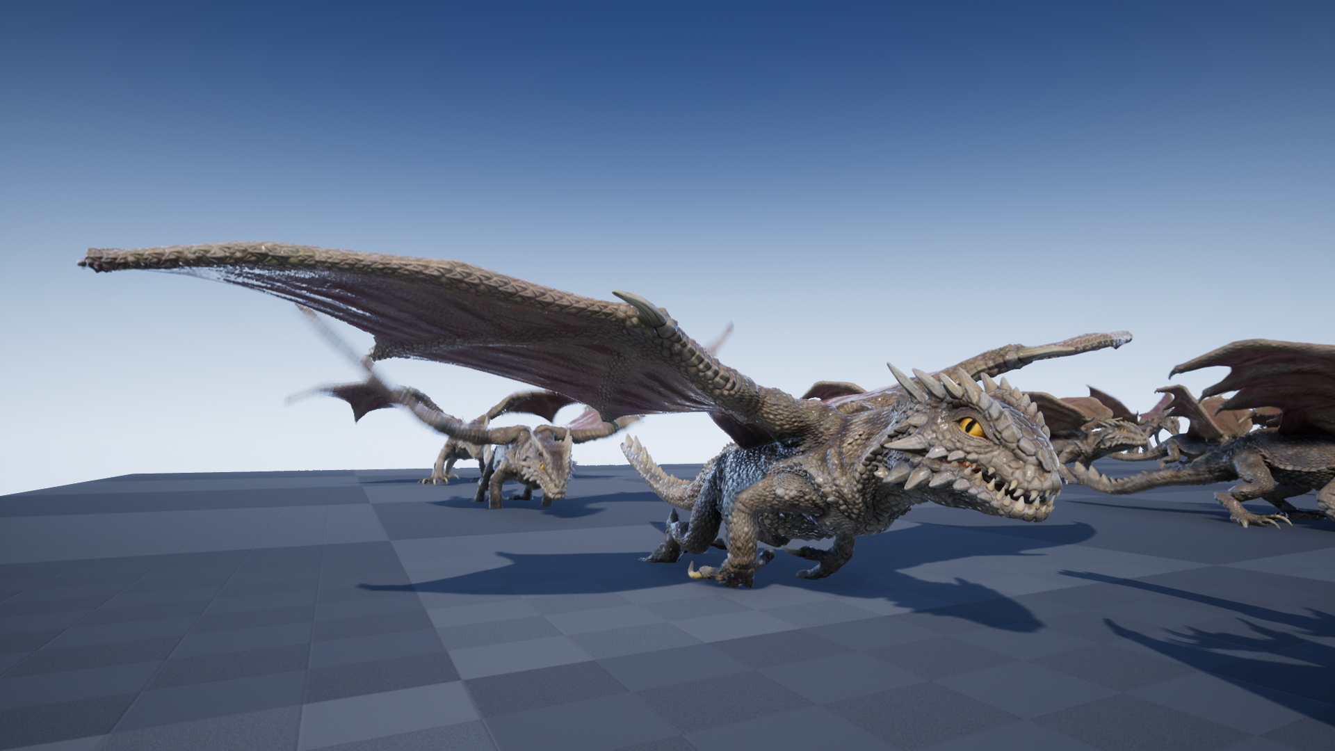 DESERT DRAGON - Image 3