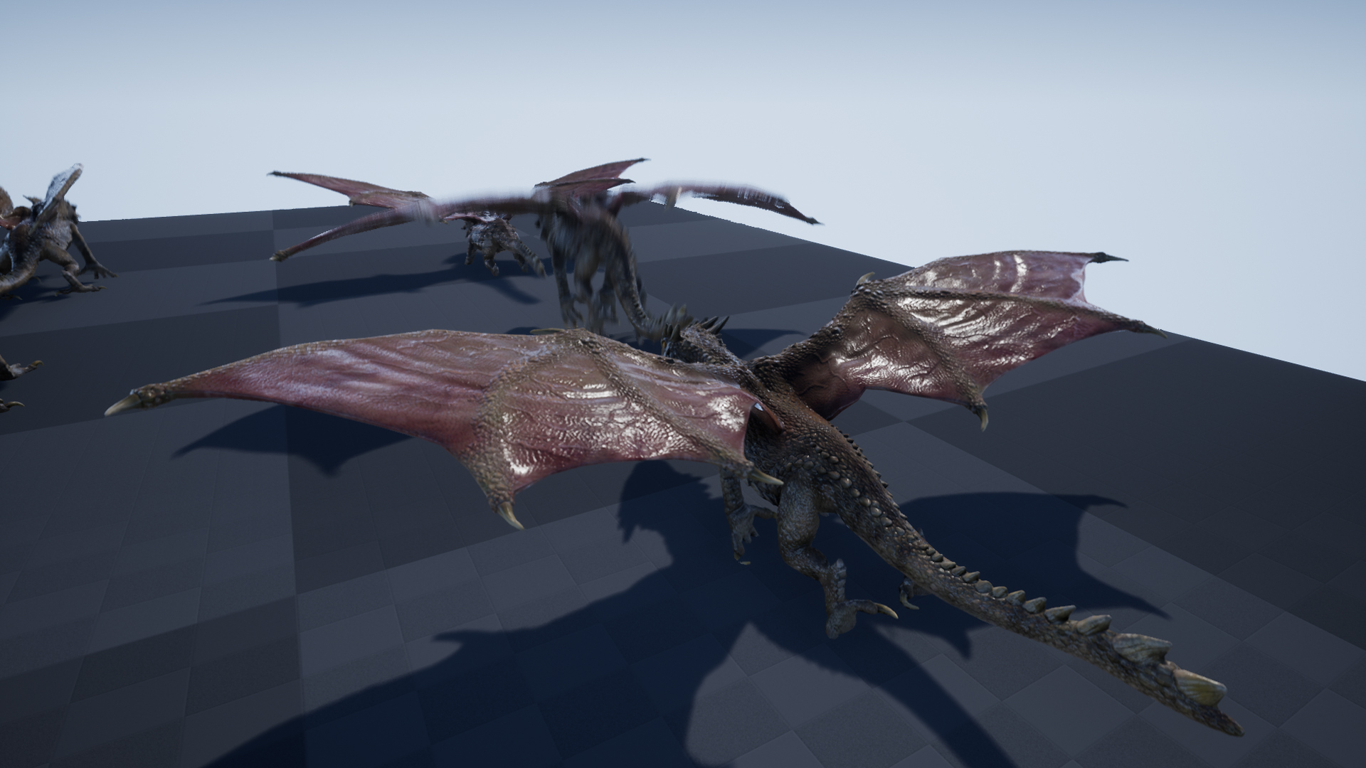 DESERT DRAGON - Image 7