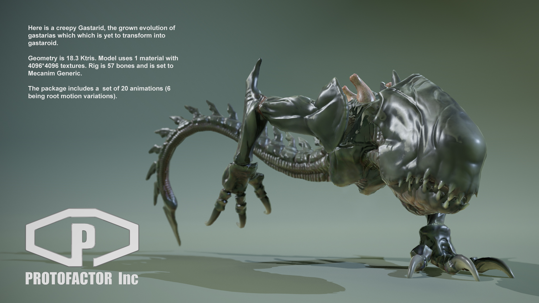 GASTARID - Image 2