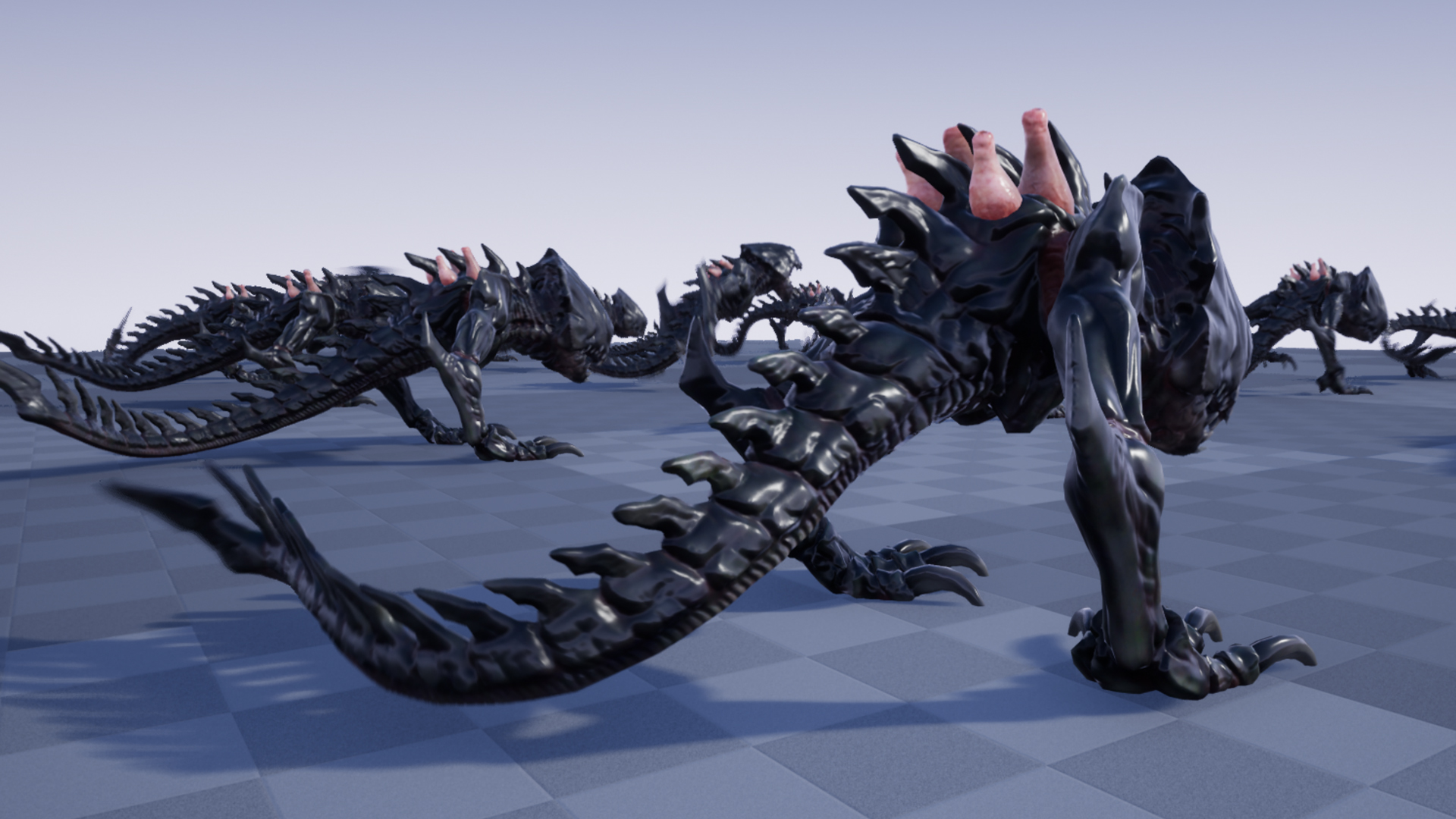 GASTARID - Image 5