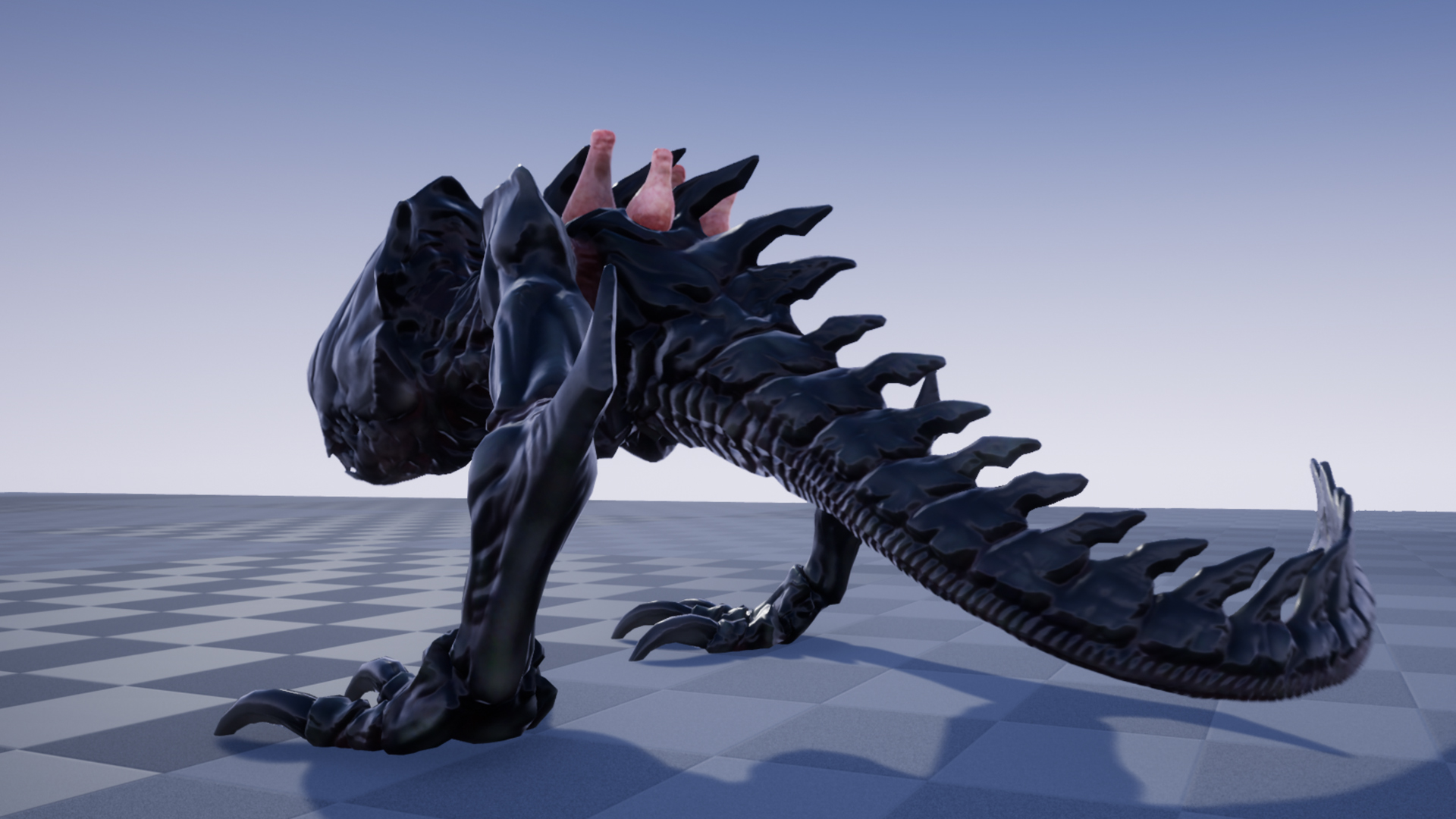 GASTARID - Image 6