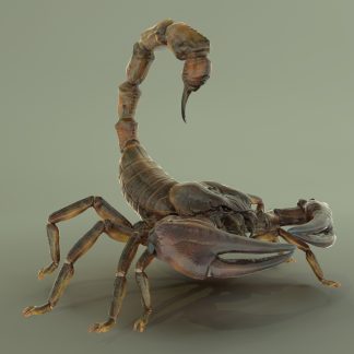 GIANT SCORPION