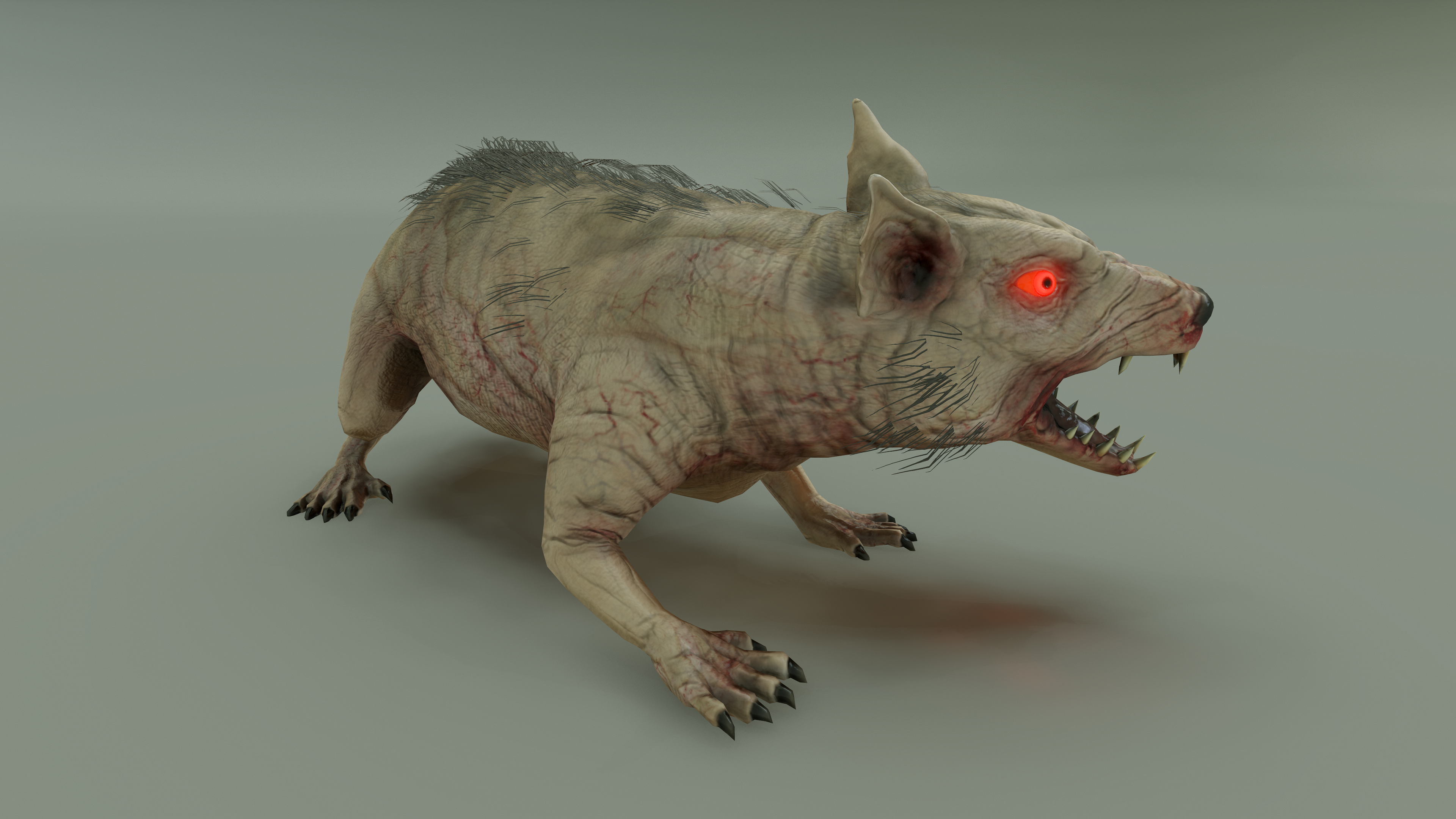 GIANT RAT