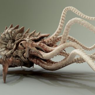 KRAKEN