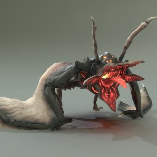 MARHOMORPH