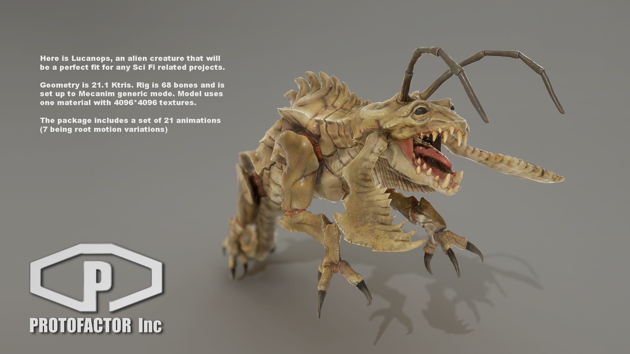 LUCANOPS - Image 2