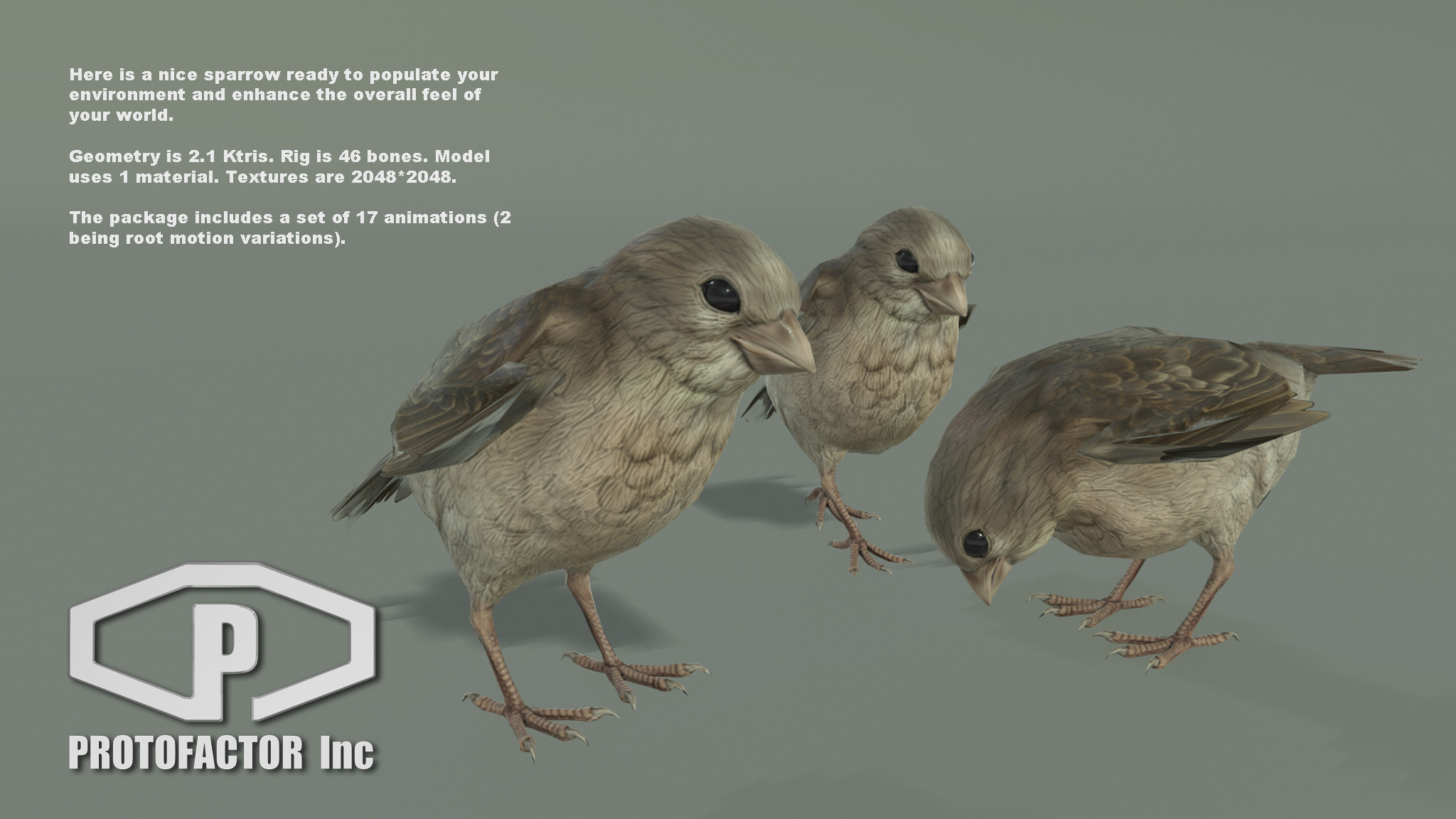 SPARROW - Image 2