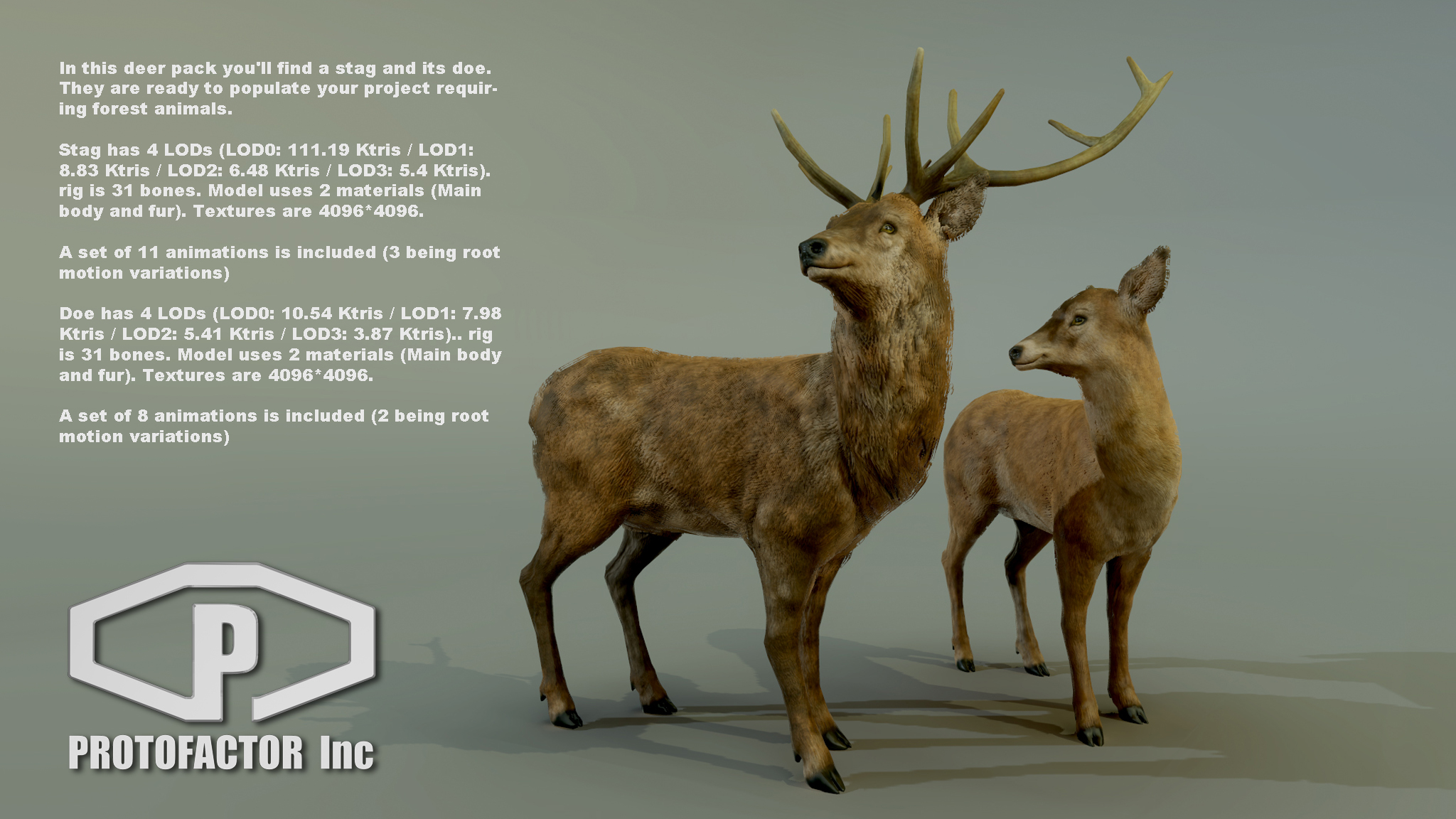 FOREST ANIMALS PACK - Image 6