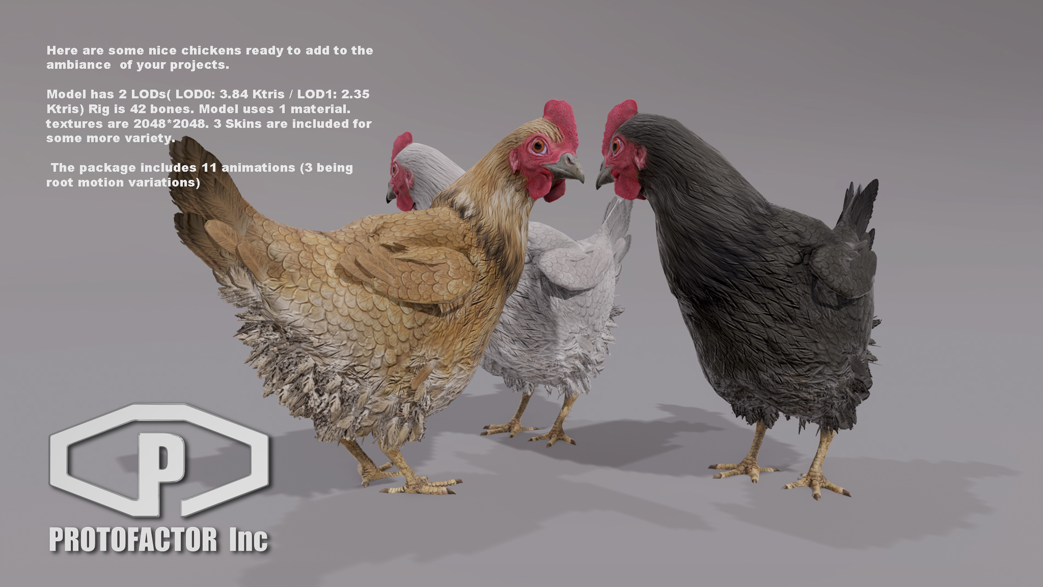 CHICKEN - Image 2