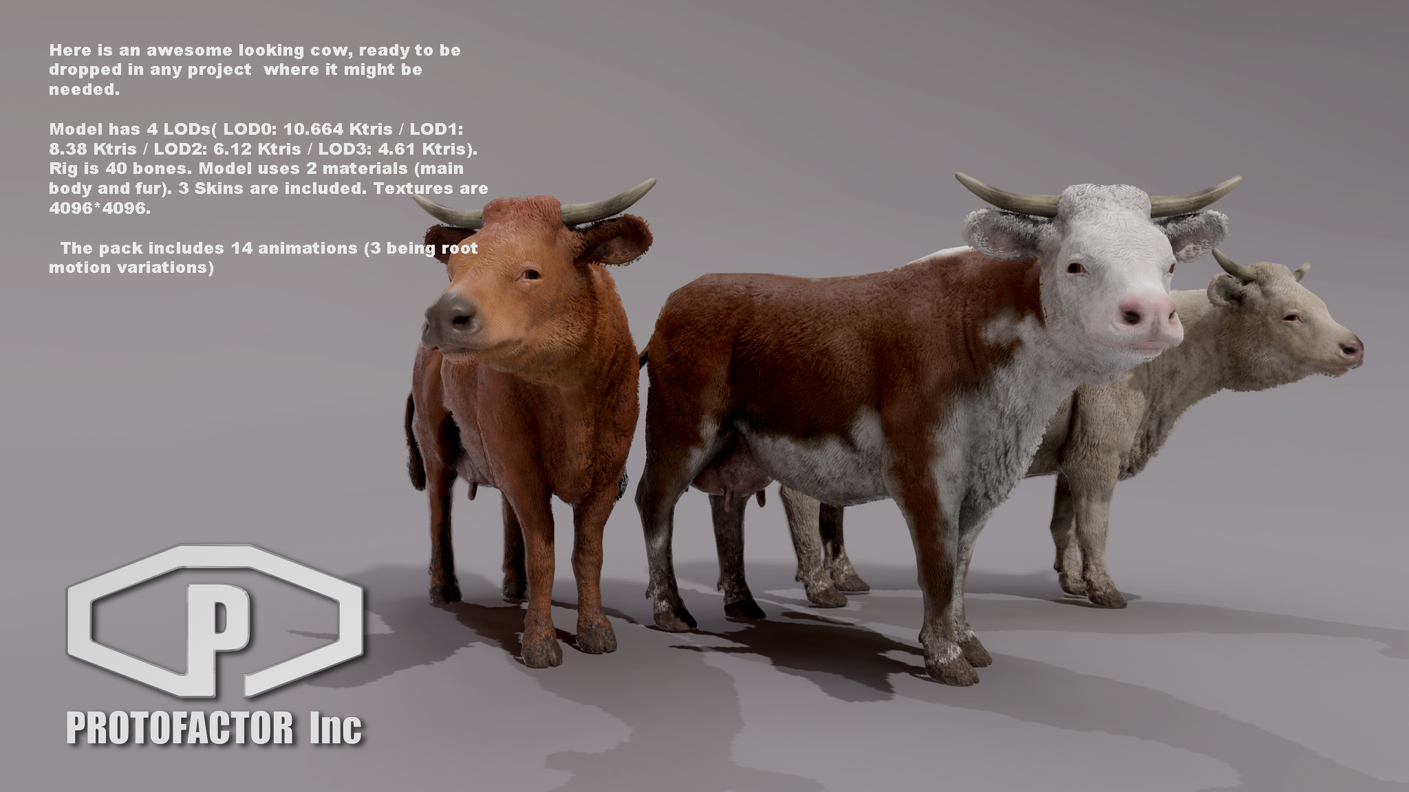 COW - Image 2