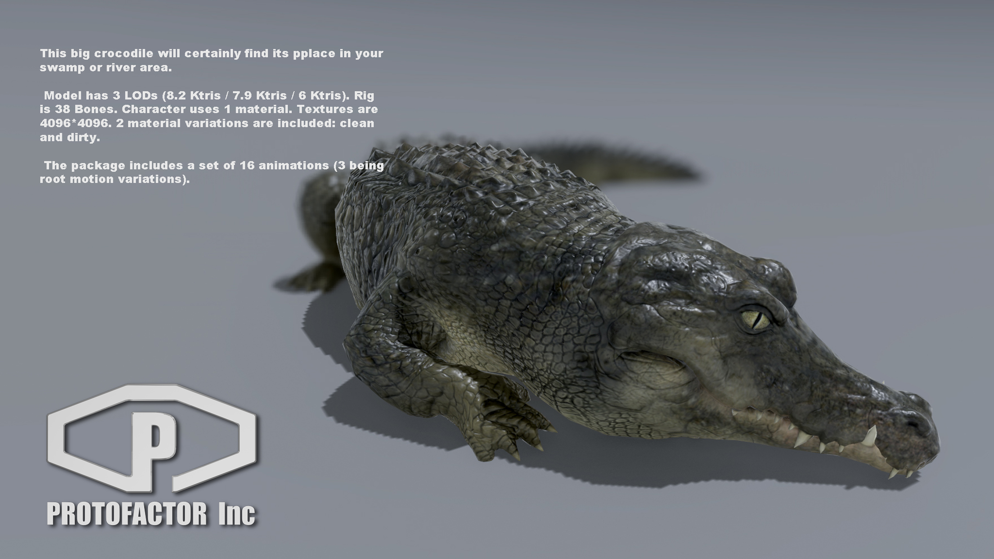 CROCODILE - Image 2