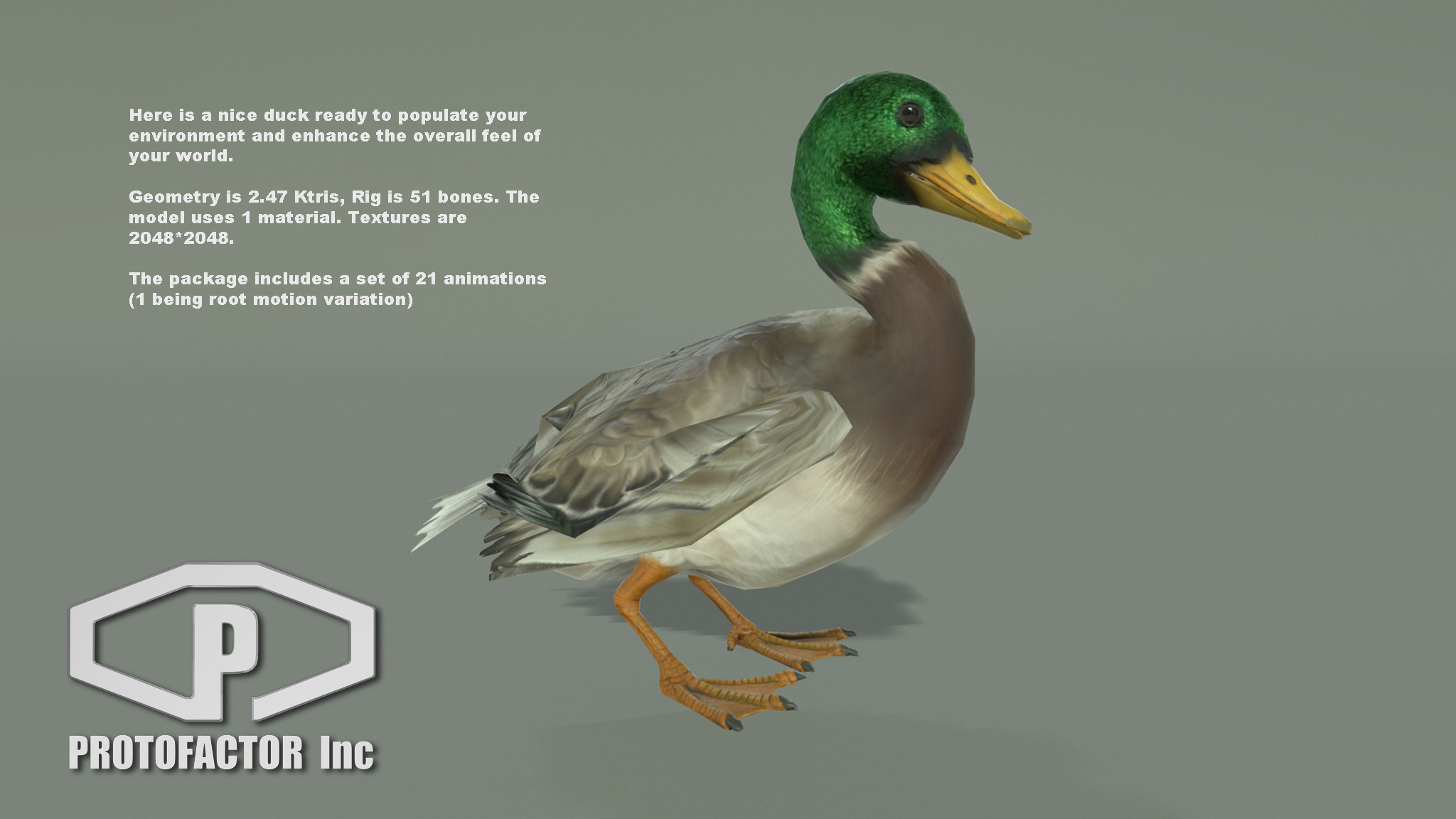 DUCK - Image 2