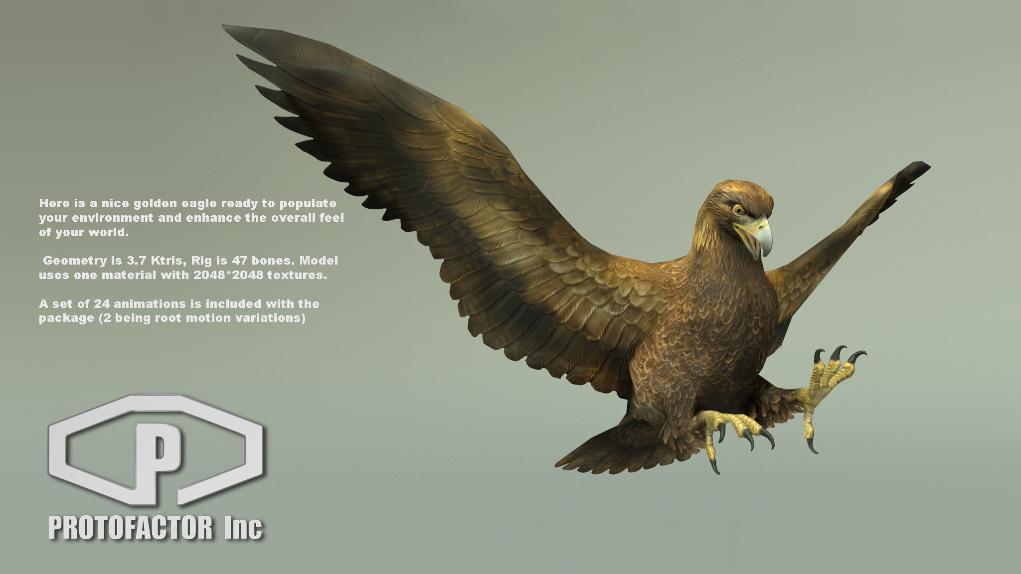 GOLDEN EAGLE - Image 2