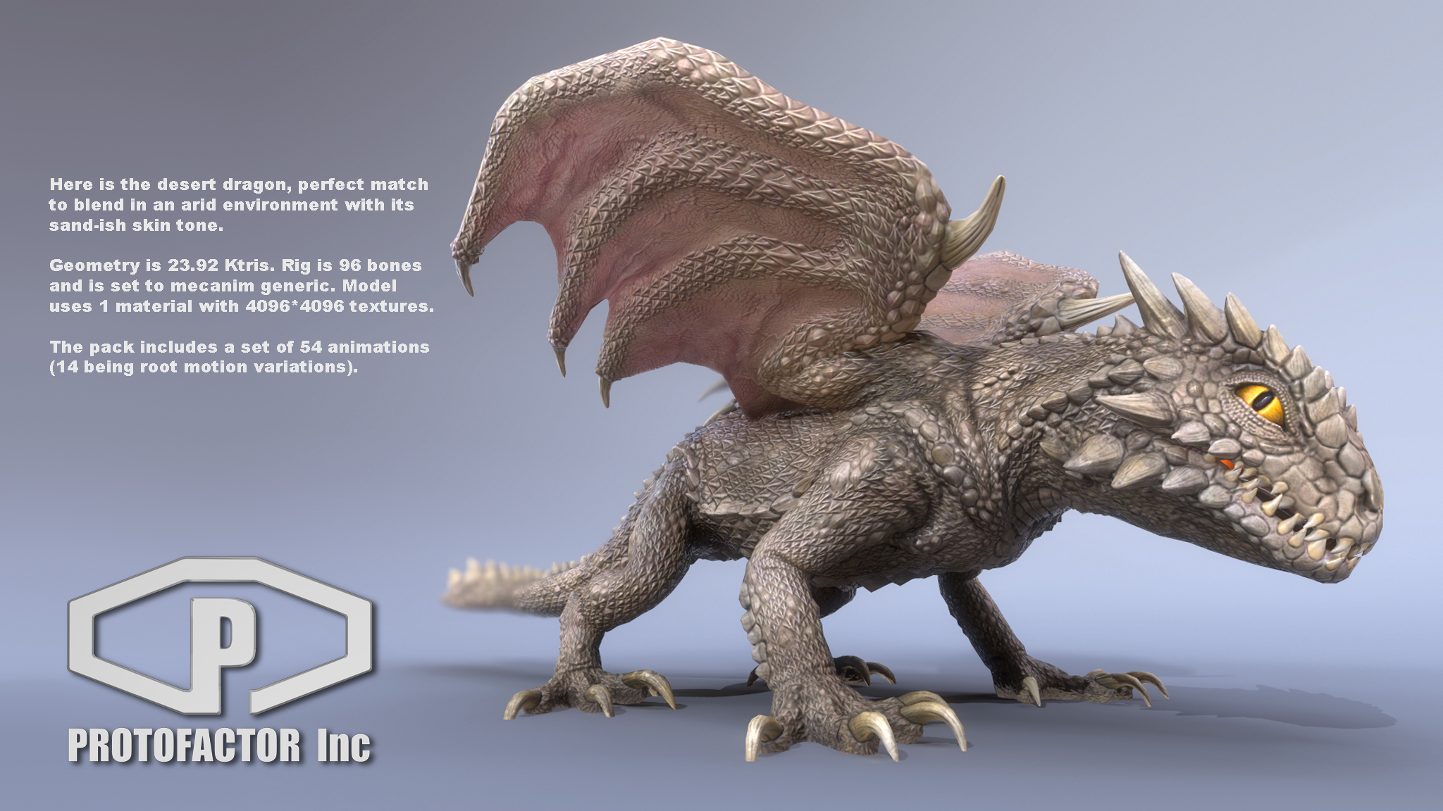 DESERT DRAGON - Image 2
